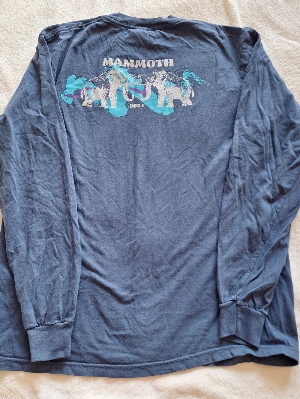 Comfort Colors Mammoth High School MMHS 2024 Graphic Long Sleeve Tee Shirt M